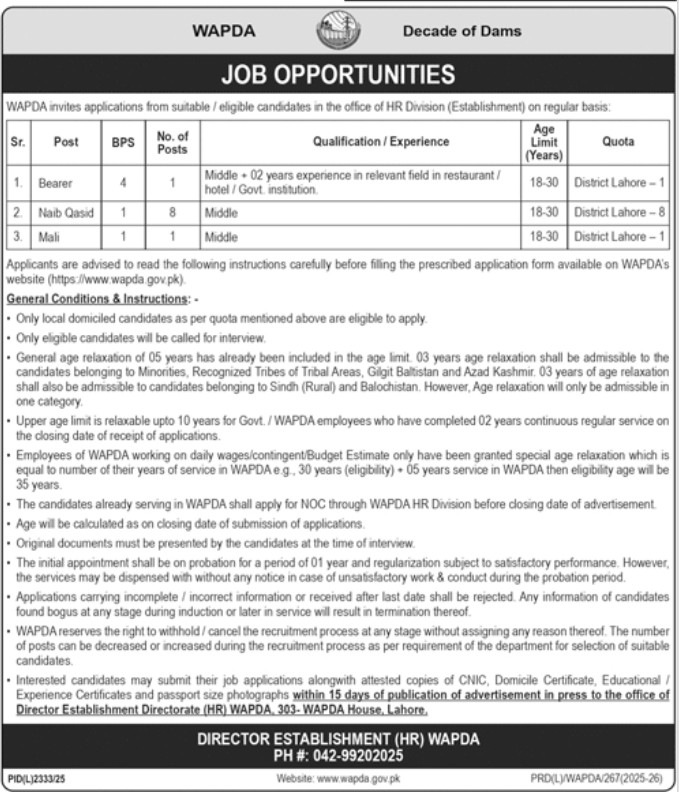 WAPDA Jobs 2026