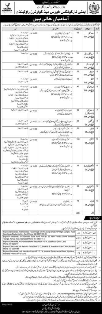 ANF Jobs 2026 in Pakistan